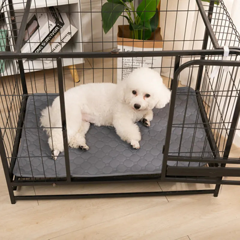 Tapis de protection imperméable, absorbant urine pour chiens